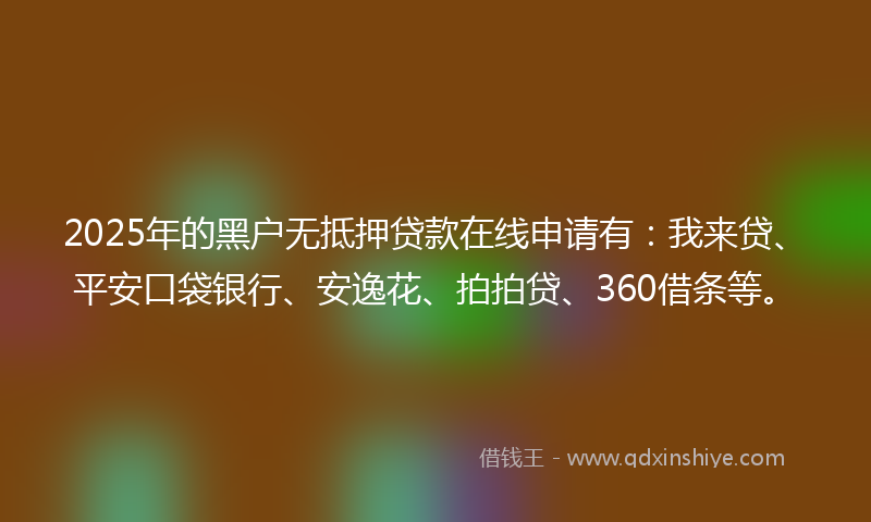 2025年的黑户无抵押贷款在线申请有：我来贷、平安口袋银行、安逸花、拍拍贷、360借条等。