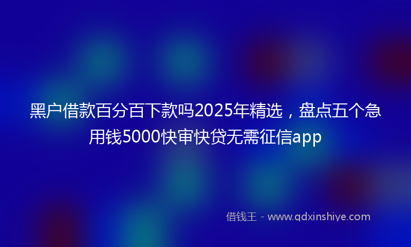 黑户借款百分百下款吗2025年精选，盘点五个急用钱5000快审快贷无需征信app
