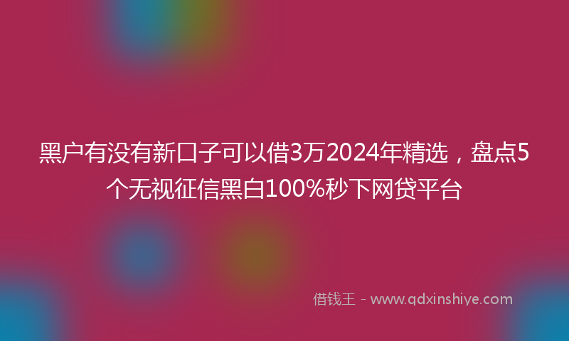 黑户有没有新口子可以借3万2024年精选，盘点5个无视征信黑白100%秒下网贷平台
