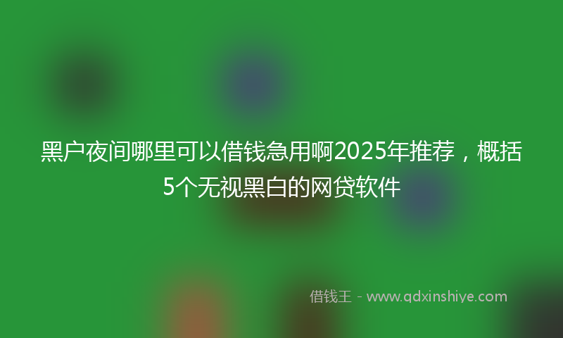 黑户夜间哪里可以借钱急用啊2025年推荐，概括5个无视黑白的网贷软件