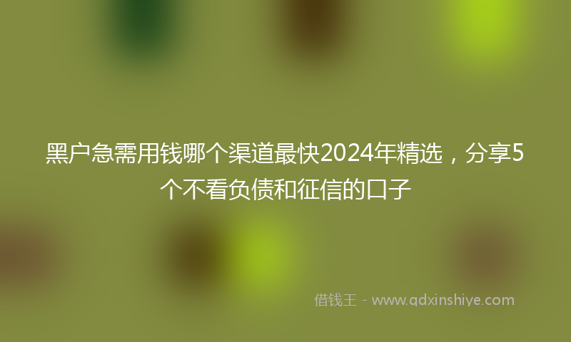 黑户急需用钱哪个渠道最快2024年精选，分享5个不看负债和征信的口子