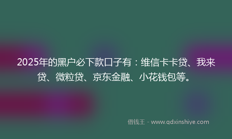 2025年的黑户必下款口子有：维信卡卡贷、我来贷、微粒贷、京东金融、小花钱包等。