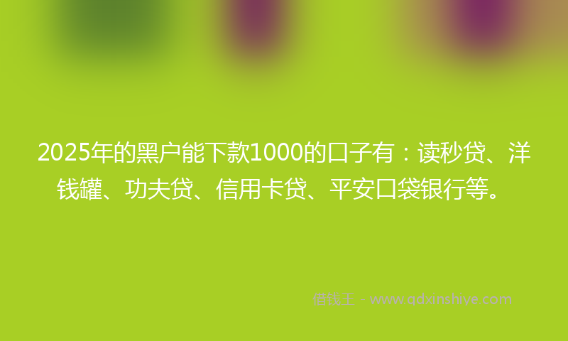 2025年的黑户能下款1000的口子有：读秒贷、洋钱罐、功夫贷、信用卡贷、平安口袋银行等。