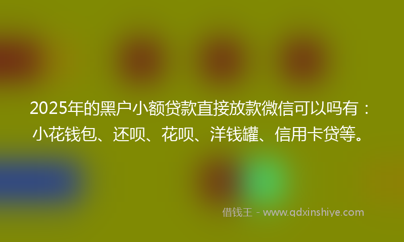 2025年的黑户小额贷款直接放款微信可以吗有：小花钱包、还呗、花呗、洋钱罐、信用卡贷等。