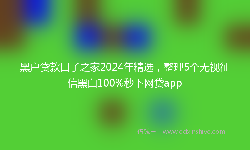黑户贷款口子之家2024年精选，整理5个无视征信黑白100%秒下网贷app