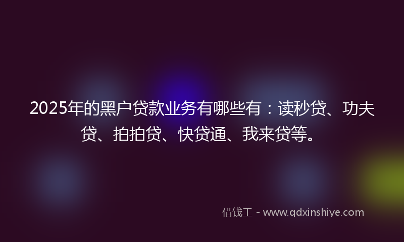 2025年的黑户贷款业务有哪些有：读秒贷、功夫贷、拍拍贷、快贷通、我来贷等。