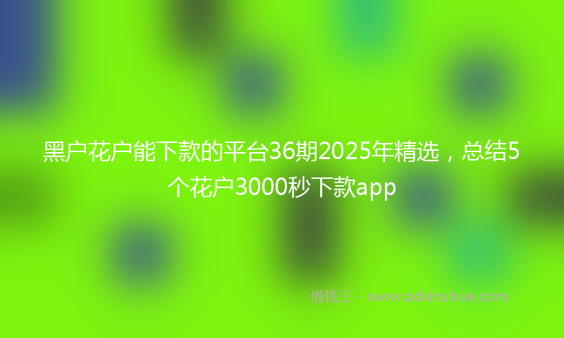 黑户花户能下款的平台36期2025年精选，总结5个花户3000秒下款app