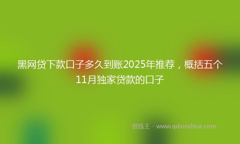 黑网贷下款口子多久到账2025年推荐，概括五个11月独家贷款的口子