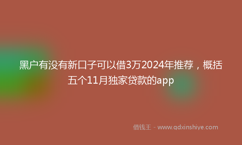 黑户有没有新口子可以借3万2024年推荐，概括五个11月独家贷款的app