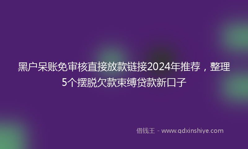 黑户呆账免审核直接放款链接2024年推荐，整理5个摆脱欠款束缚贷款新口子