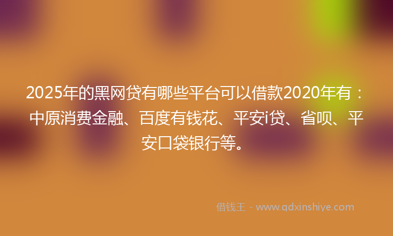 2025年的黑网贷有哪些平台可以借款2020年有：中原消费金融、百度有钱花、平安i贷、省呗、平安口袋银行等。