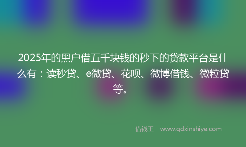 2025年的黑户借五千块钱的秒下的贷款平台是什么有：读秒贷、e微贷、花呗、微博借钱、微粒贷等。