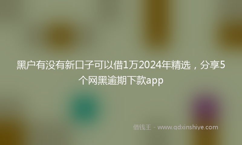 黑户有没有新口子可以借1万2024年精选，分享5个网黑逾期下款app