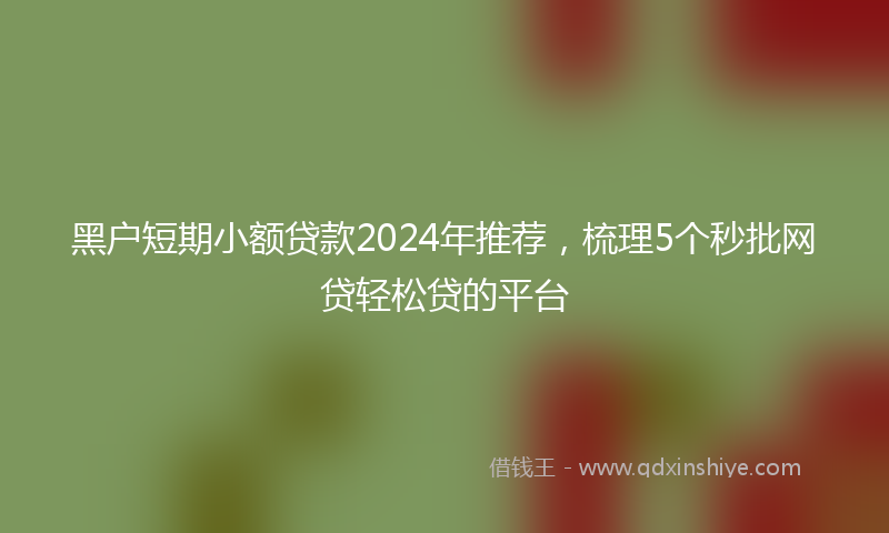 黑户短期小额贷款2024年推荐，梳理5个秒批网贷轻松贷的平台