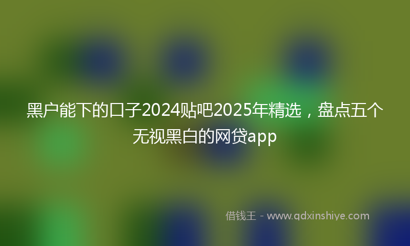 黑户能下的口子2024贴吧2025年精选，盘点五个无视黑白的网贷app