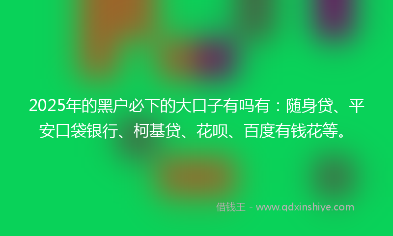2025年的黑户必下的大口子有吗有：随身贷、平安口袋银行、柯基贷、花呗、百度有钱花等。