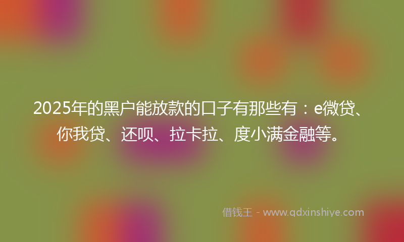 2025年的黑户能放款的口子有那些有：e微贷、你我贷、还呗、拉卡拉、度小满金融等。