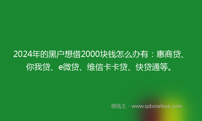 2024年的黑户想借2000块钱怎么办有：惠商贷、你我贷、e微贷、维信卡卡贷、快贷通等。