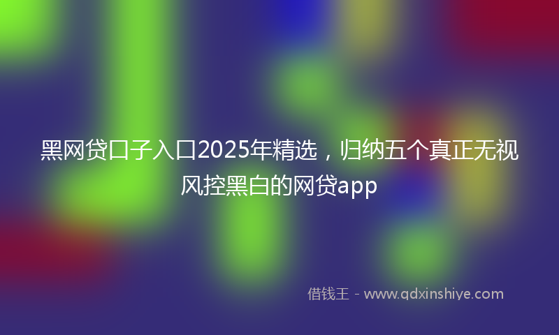 黑网贷口子入口2025年精选，归纳五个真正无视风控黑白的网贷app