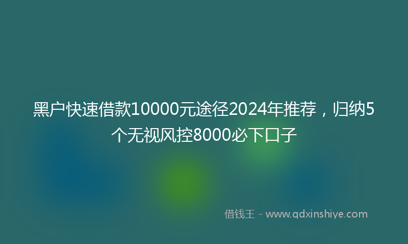 黑户快速借款10000元途径2024年推荐，归纳5个无视风控8000必下口子
