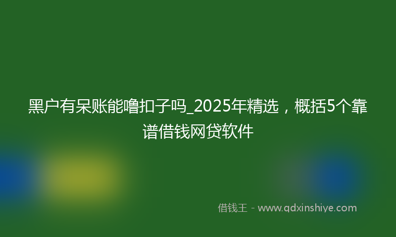 黑户有呆账能噜扣子吗_2025年精选，概括5个靠谱借钱网贷软件
