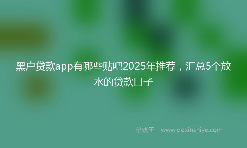 黑户贷款app有哪些贴吧2025年推荐，汇总5个放水的贷款口子