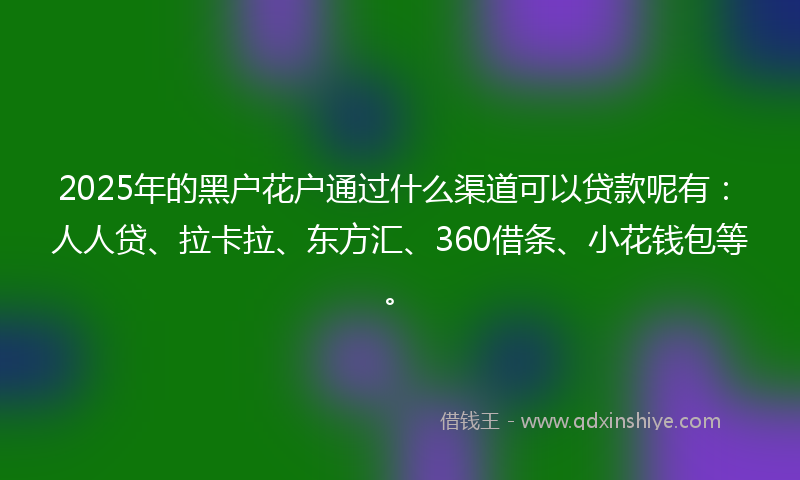 2025年的黑户花户通过什么渠道可以贷款呢有：人人贷、拉卡拉、东方汇、360借条、小花钱包等。