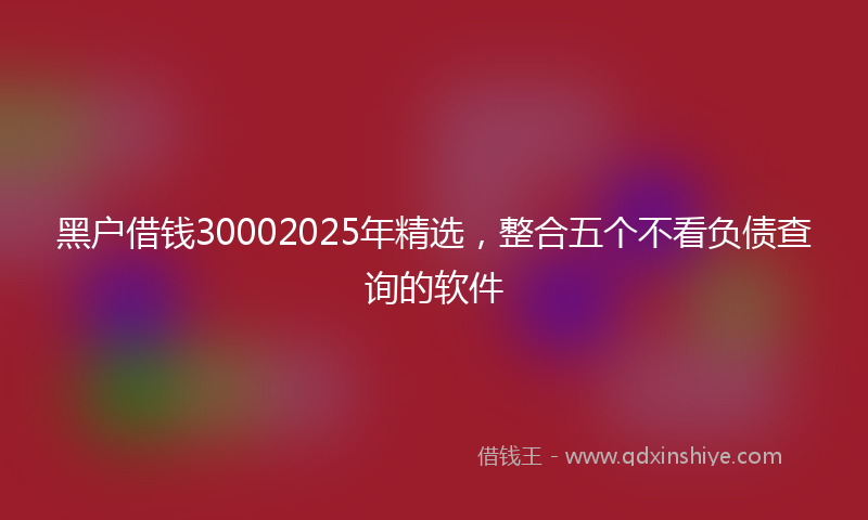 黑户借钱30002025年精选，整合五个不看负债查询的软件