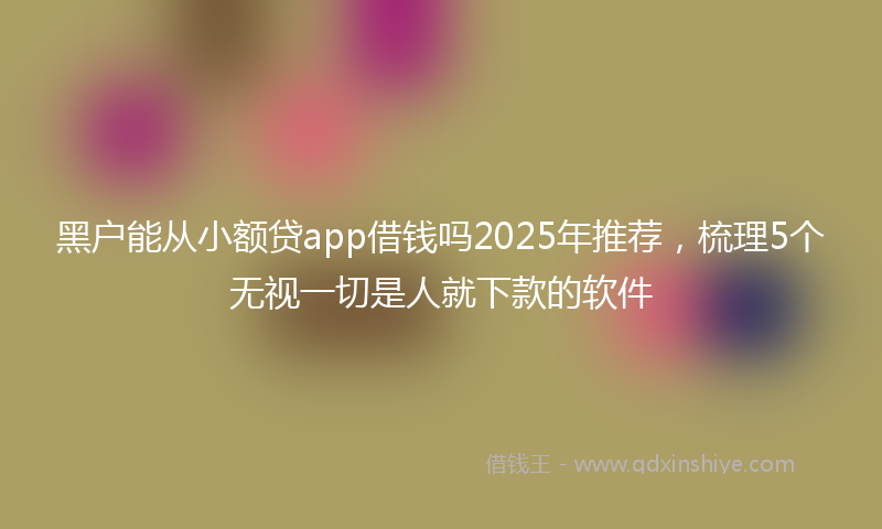 黑户能从小额贷app借钱吗2025年推荐，梳理5个无视一切是人就下款的软件