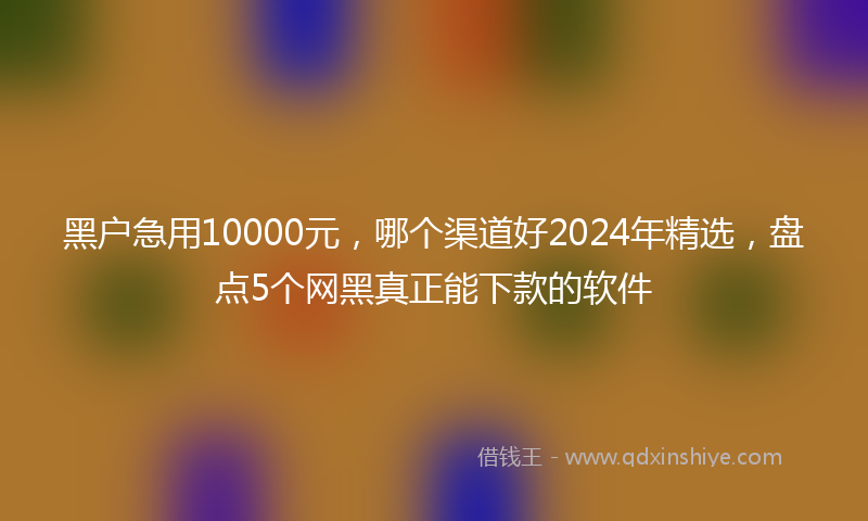 黑户急用10000元，哪个渠道好2024年精选，盘点5个网黑真正能下款的软件