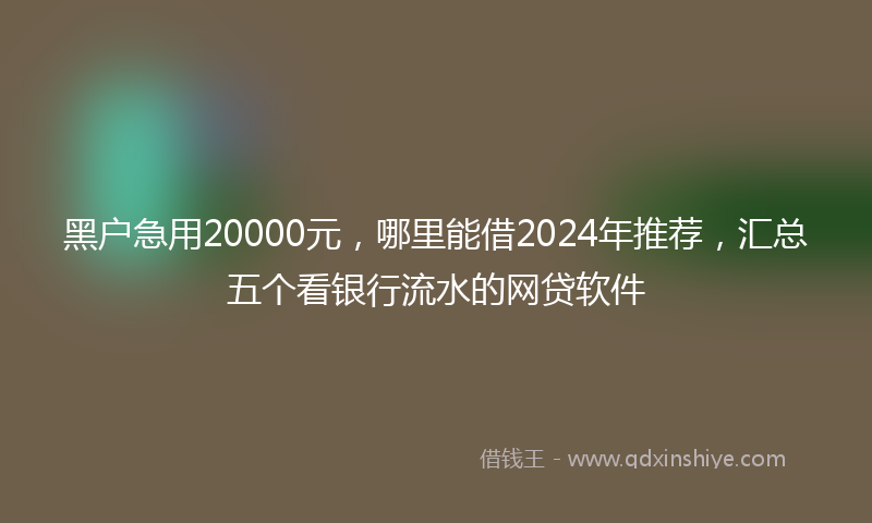 黑户急用20000元，哪里能借2024年推荐，汇总五个看银行流水的网贷软件