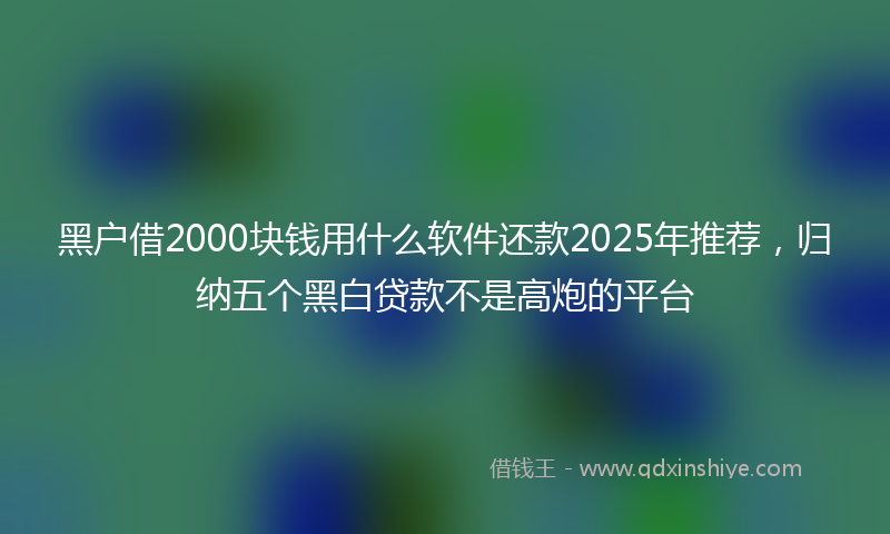 黑户借2000块钱用什么软件还款2025年推荐，归纳五个黑白贷款不是高炮的平台