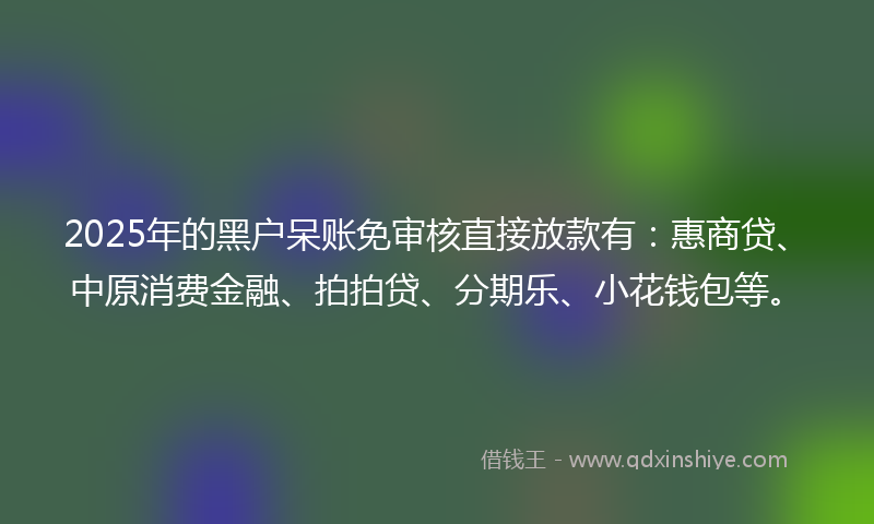 2025年的黑户呆账免审核直接放款有：惠商贷、中原消费金融、拍拍贷、分期乐、小花钱包等。