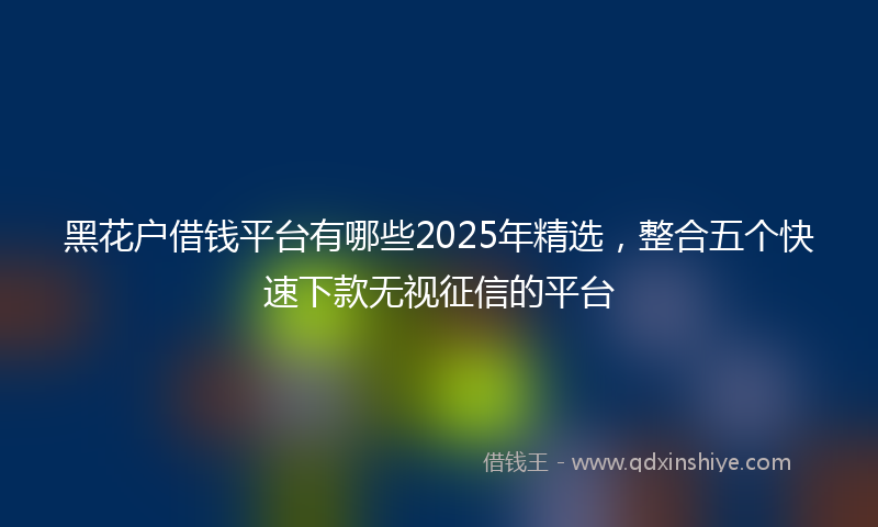 黑花户借钱平台有哪些2025年精选，整合五个快速下款无视征信的平台