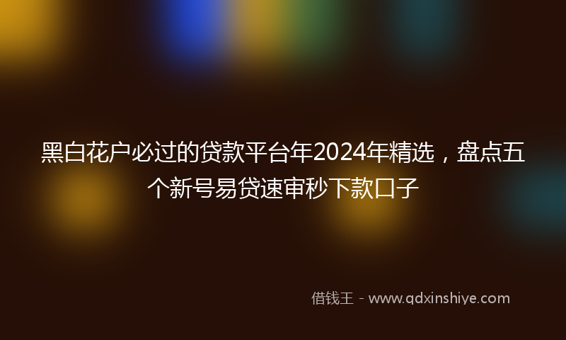 黑白花户必过的贷款平台年2024年精选，盘点五个新号易贷速审秒下款口子
