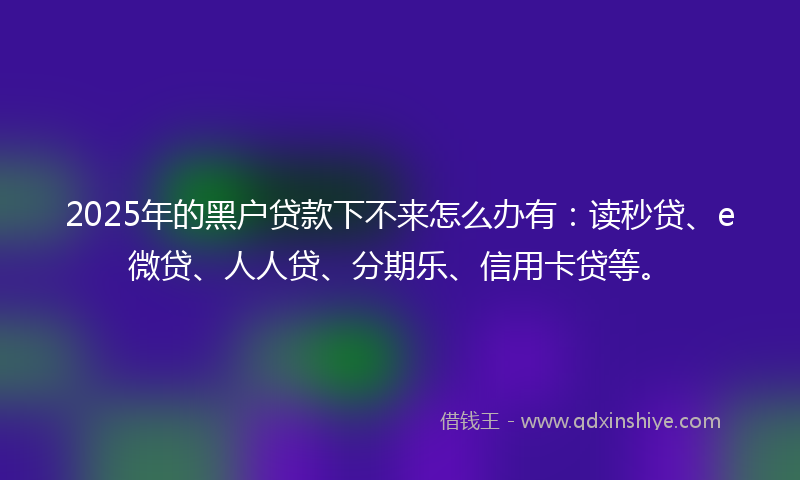 2025年的黑户贷款下不来怎么办有：读秒贷、e微贷、人人贷、分期乐、信用卡贷等。