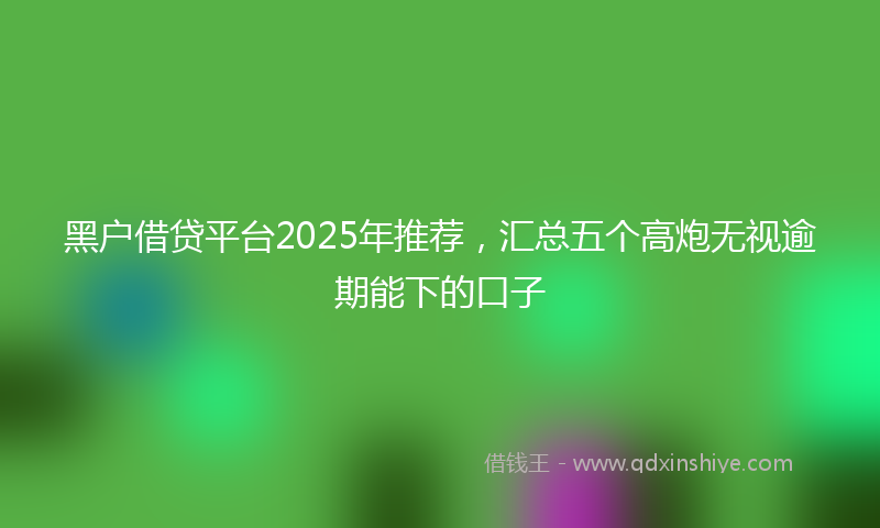 黑户借贷平台2025年推荐，汇总五个高炮无视逾期能下的口子