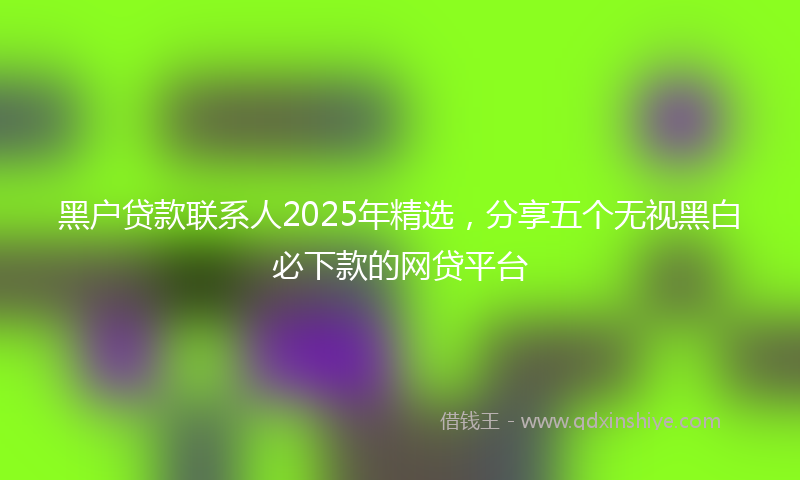 黑户贷款联系人2025年精选，分享五个无视黑白必下款的网贷平台
