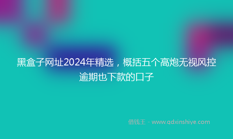 黑盒子网址2024年精选，概括五个高炮无视风控逾期也下款的口子