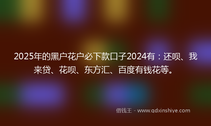2025年的黑户花户必下款口子2024有：还呗、我来贷、花呗、东方汇、百度有钱花等。