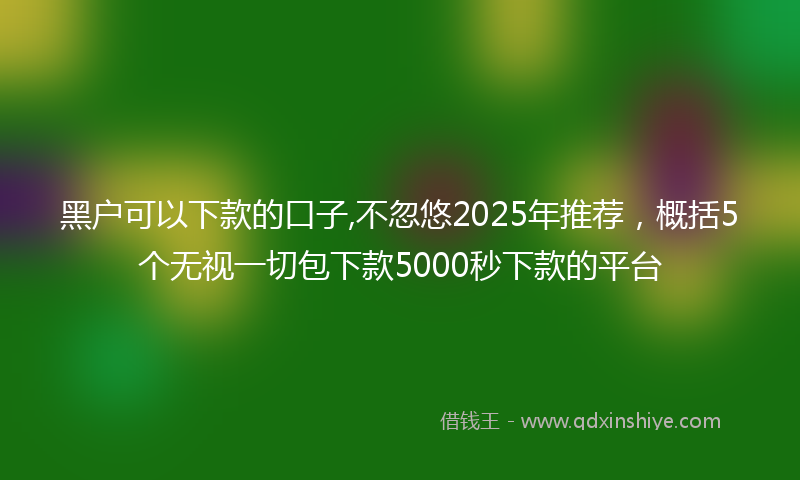 黑户可以下款的口子,不忽悠2025年推荐，概括5个无视一切包下款5000秒下款的平台