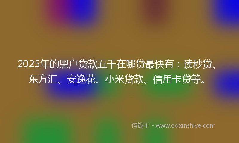 2025年的黑户贷款五千在哪贷最快有：读秒贷、东方汇、安逸花、小米贷款、信用卡贷等。