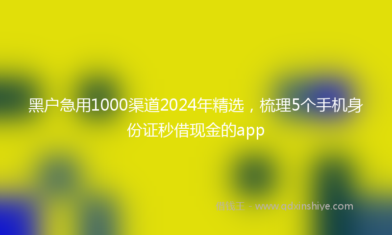 黑户急用1000渠道2024年精选，梳理5个手机身份证秒借现金的app