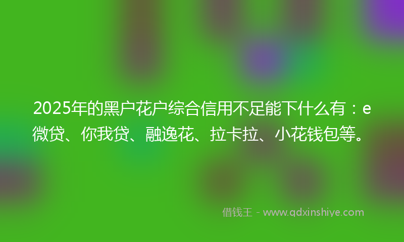 2025年的黑户花户综合信用不足能下什么有：e微贷、你我贷、融逸花、拉卡拉、小花钱包等。
