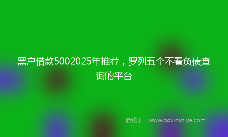 黑户借款5002025年推荐，罗列五个不看负债查询的平台