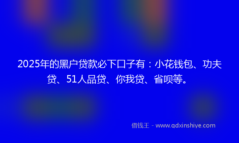 2025年的黑户贷款必下口子有：小花钱包、功夫贷、51人品贷、你我贷、省呗等。