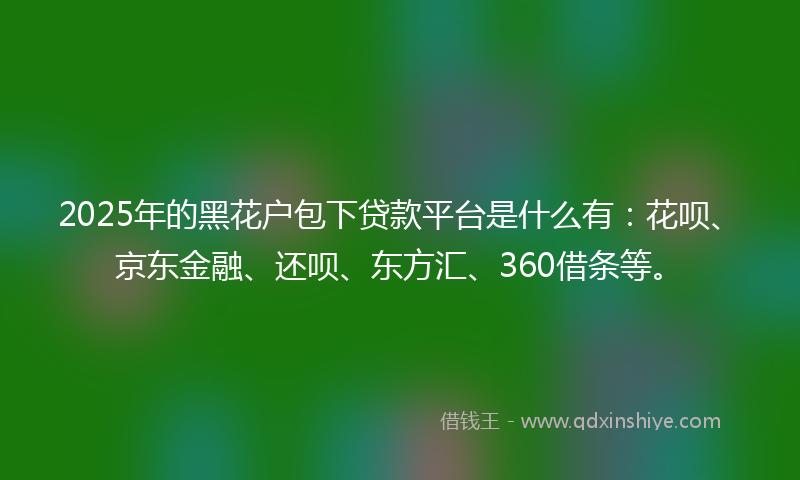 2025年的黑花户包下贷款平台是什么有：花呗、京东金融、还呗、东方汇、360借条等。