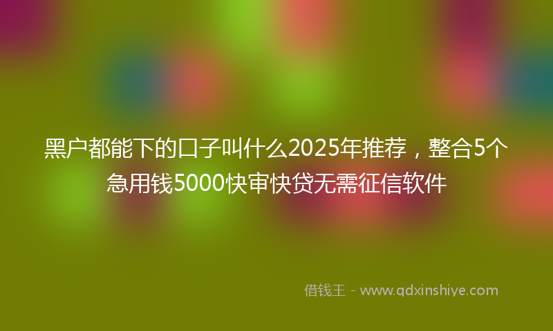 黑户都能下的口子叫什么2025年推荐，整合5个急用钱5000快审快贷无需征信软件