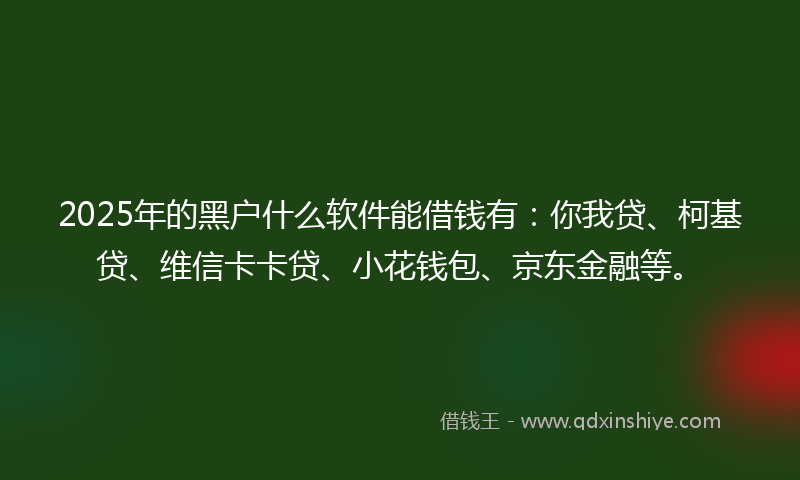 2025年的黑户什么软件能借钱有：你我贷、柯基贷、维信卡卡贷、小花钱包、京东金融等。