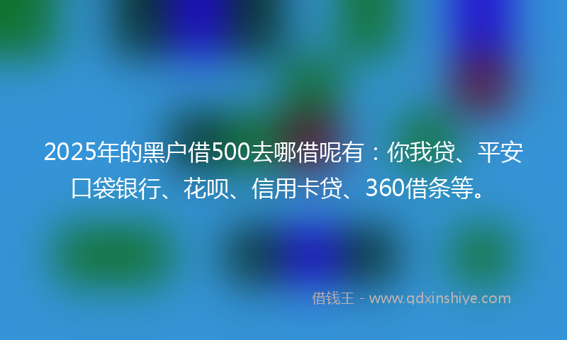 2025年的黑户借500去哪借呢有：你我贷、平安口袋银行、花呗、信用卡贷、360借条等。